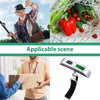 Digital Luggage Hanging Scale